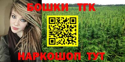 индика Чебоксары