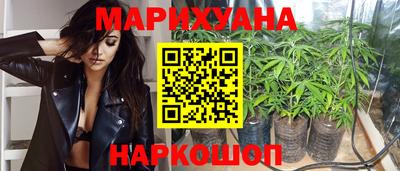 индика Чебоксары