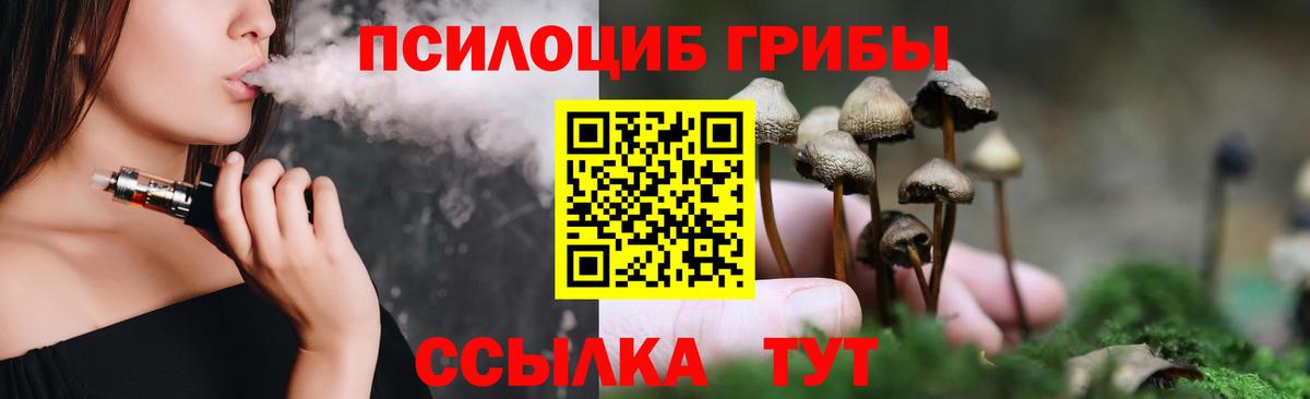 Галлюциногенные грибы Psilocybe  Вход с VPN  Шадринск  Галлюциногенные грибы GOLDEN TEACHER 